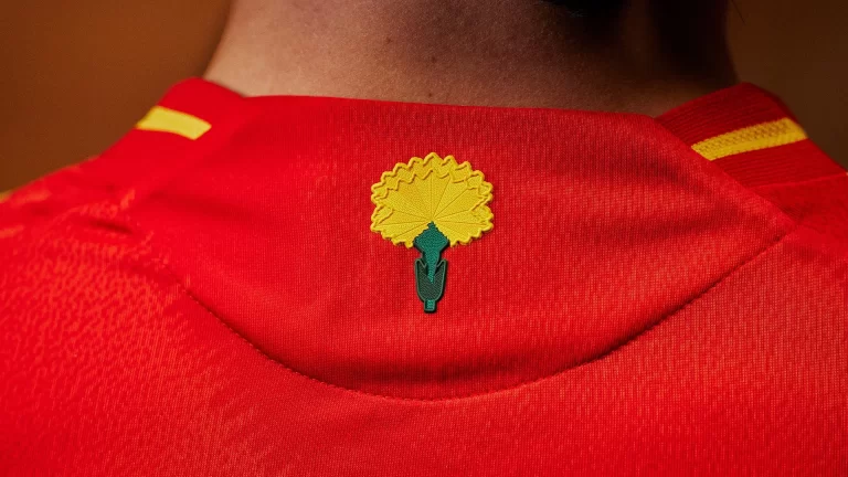 The meaning of the flower on the shirt that Spain will wear against Brazil and Colombia