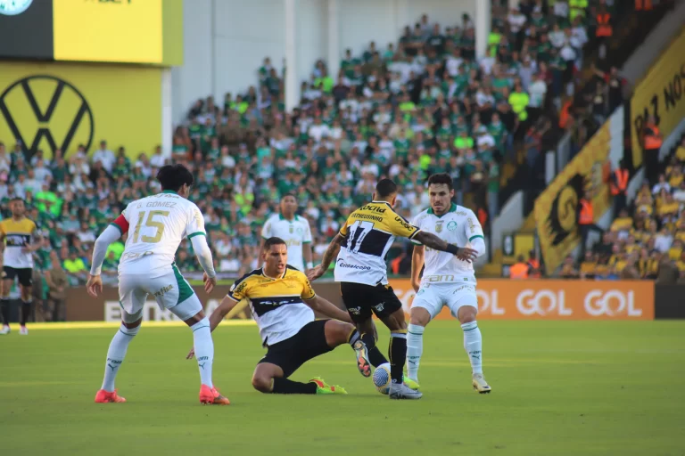 Criciúma x Palmeiras, 7ª rodada do Brasileirão 2024. Foto: Celso da Luz/Criciúma E.C.