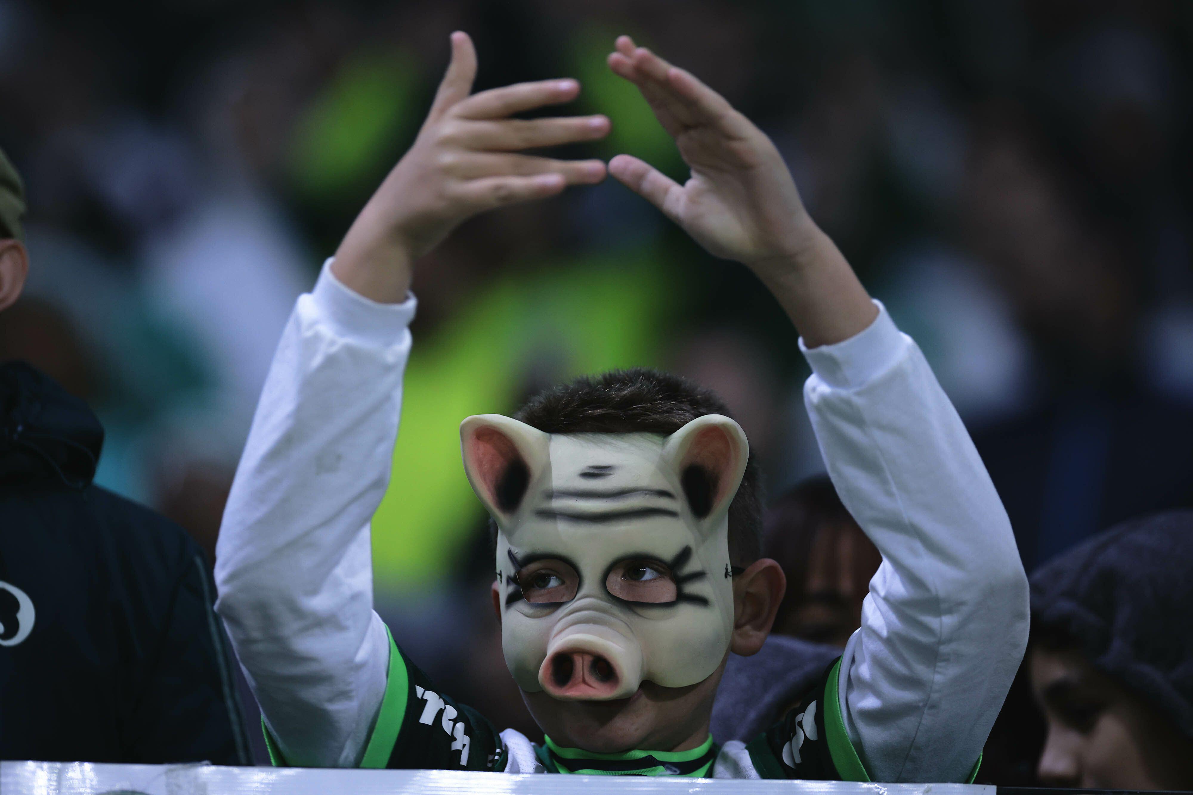 Torcedor do Palmeiras no Allianz Parque. (Foto: Divulgação / Alamy)