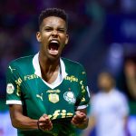 Estêvão no Palmeiras