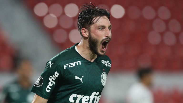 Viña comemora gol com a camisa do Palmeiras