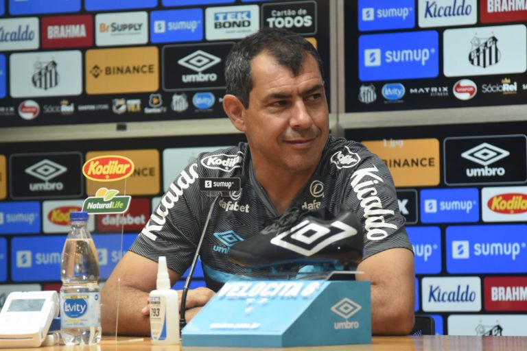 Fábio Carille, treinador do Santos