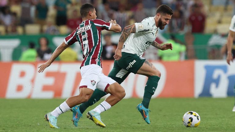 Fluminense x Palmeiras, Brasileirão 2022. Foto: Cesar Greco/SE Palmeiras