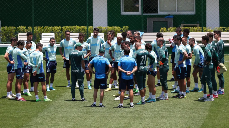 Volante e um ponta canhoto são as prioridades do Palmeiras para a próxima temporada