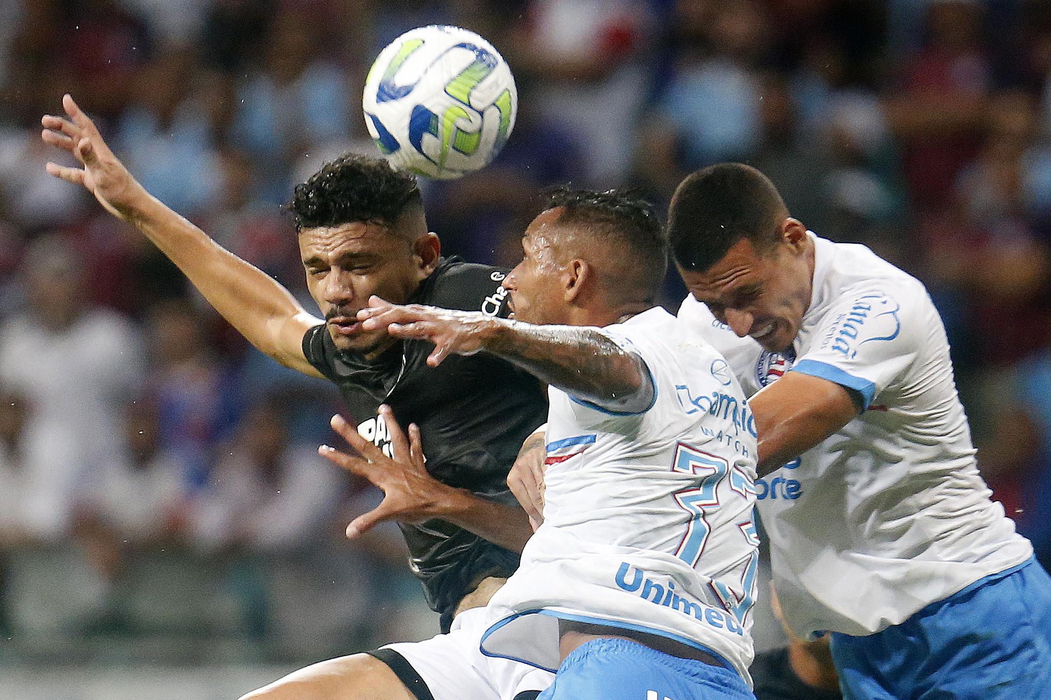 Botafogo X Bahia Horário E Onde Assistir Ao Vivo Essa Partida Do