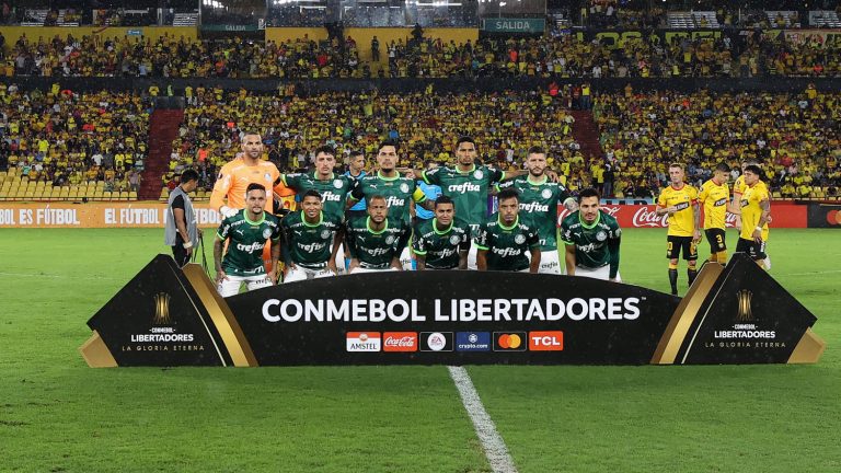 Time do Palmeiras perfilado