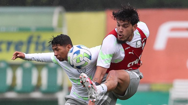 Rony e Gustavo Gómez, do Palmeiras. Foto: Cesar Greco/Palmeiras