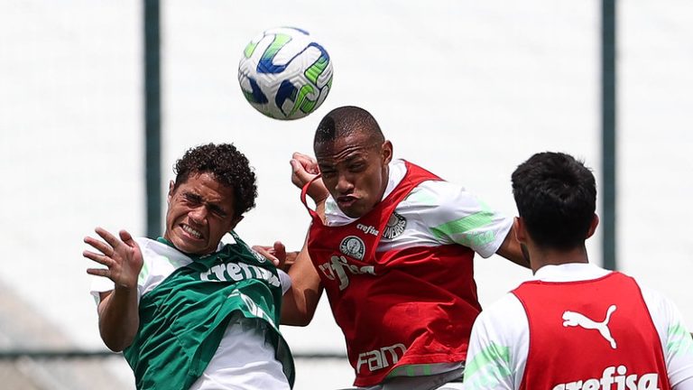 Jovens da base participam de treino profissional do Palmeiras. Foto: Cesar Greco/Palmeiras