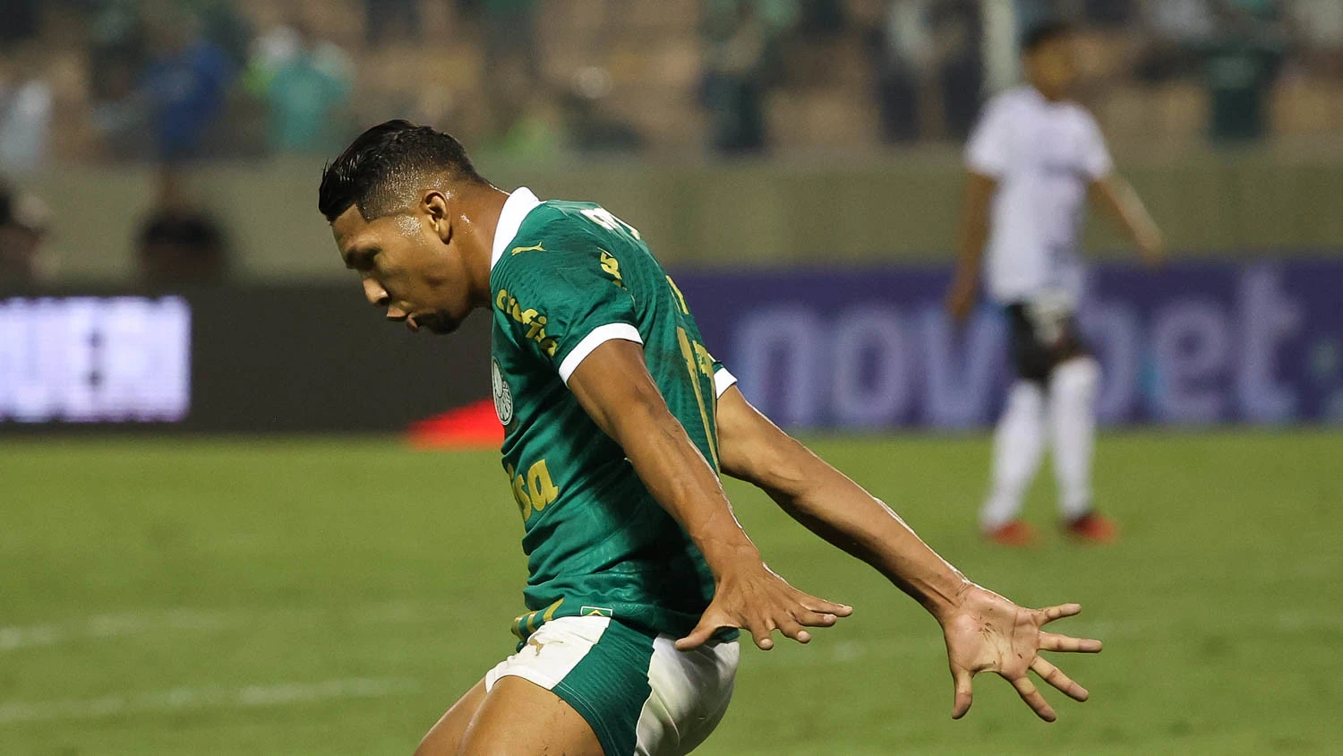 Rony, atacante do Palmeiras. Foto: Cesar Greco/Palmeiras