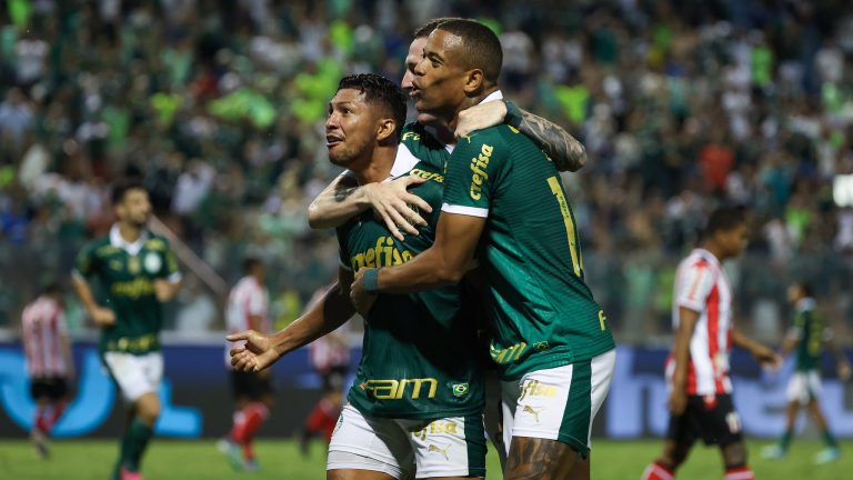 Jogadores do Palmeiras comemoram gol contra o Botafogo