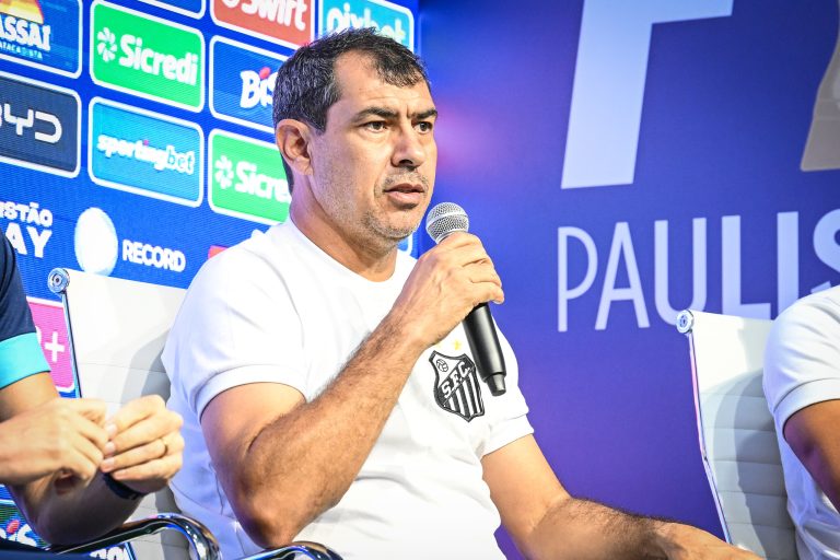 Fábio Carille, treinador do Santos