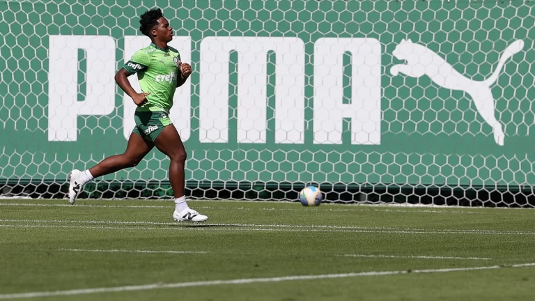 Endrick, atacante do Palmeiras. Foto: Cesar Greco/Palmeiras