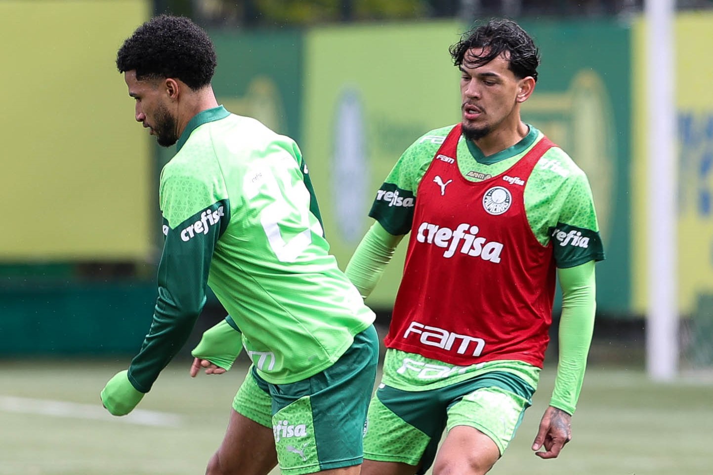 Murilo e Gustavo Gómez  em treino do Palmeiras