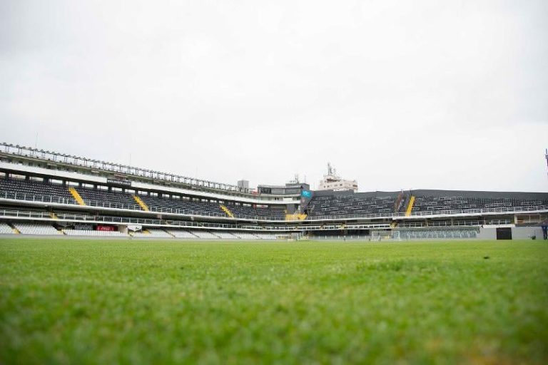 Santos recebe o Brusque pela Série B. (Foto: Reprodução)