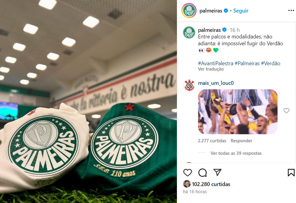 Instagram Palmeiras