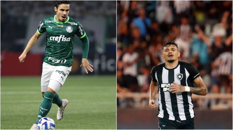 Palmeiras Botafogo