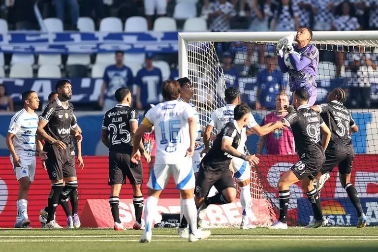 Botafogo x Cruzeiro pelo Campeonato Brasileiro 2025
