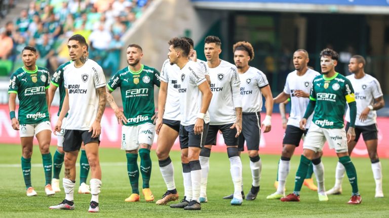 Botafogo recebe o Palmeiras nesta quarta-feira. Foto: Divulgação / Sipa USA / Alamy Stock Photo