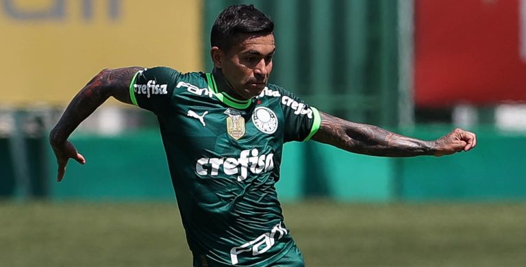 Dudu, do Palmeiras