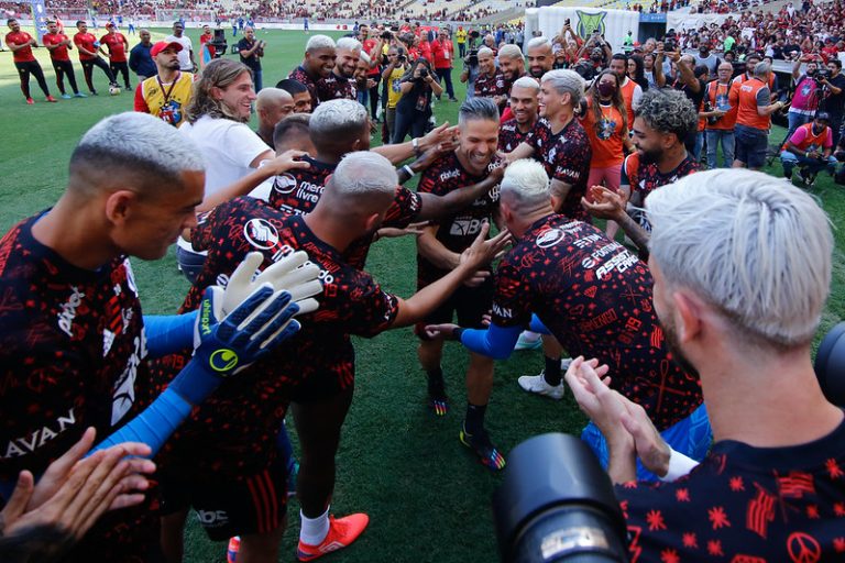 Flamengo perde para o Avaí