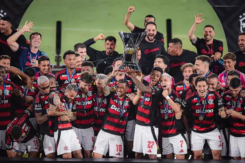 Flamengo é campeão do Brasileirão 2025