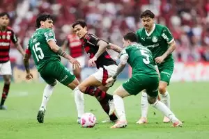 Flamengo x Palmeiras pelo Brasileirão 2025