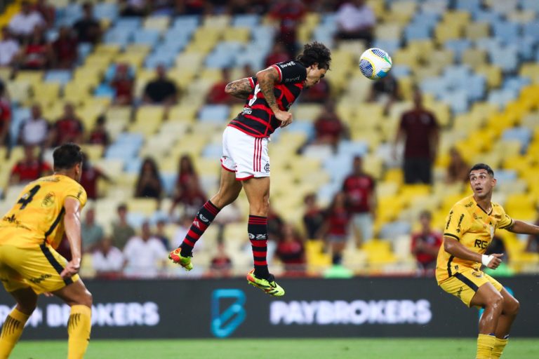 Pedro do Flamengo