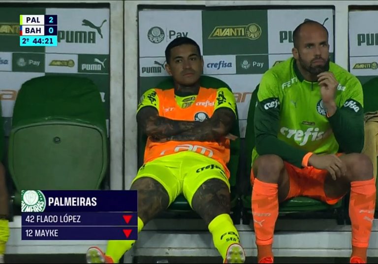 Dudu Palmeiras