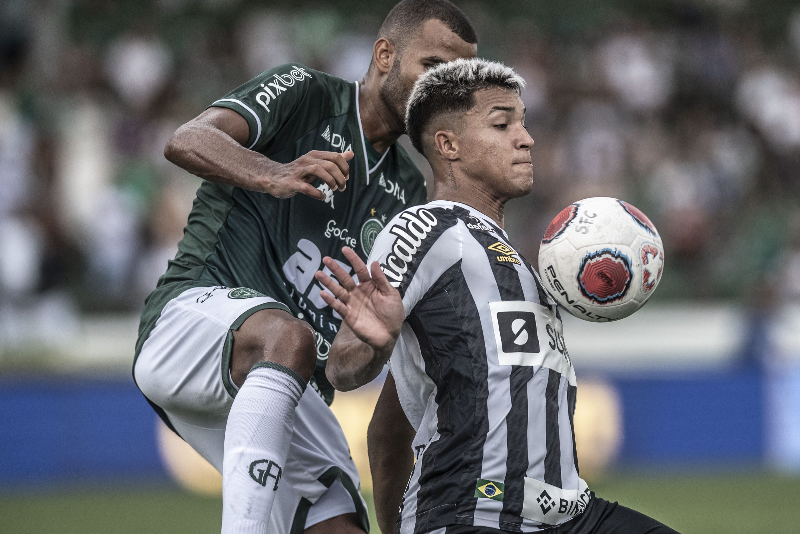 Palmeiras x Santos: veja onde assistir, escalações, desfalques e arbitragem, campeonato paulista