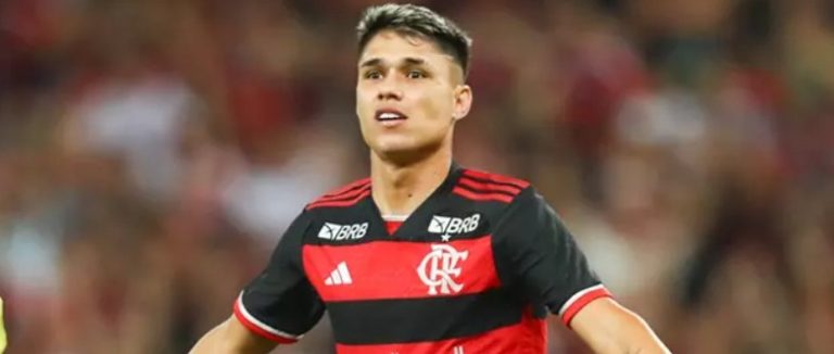 Luiz Araújo, do Flamengo