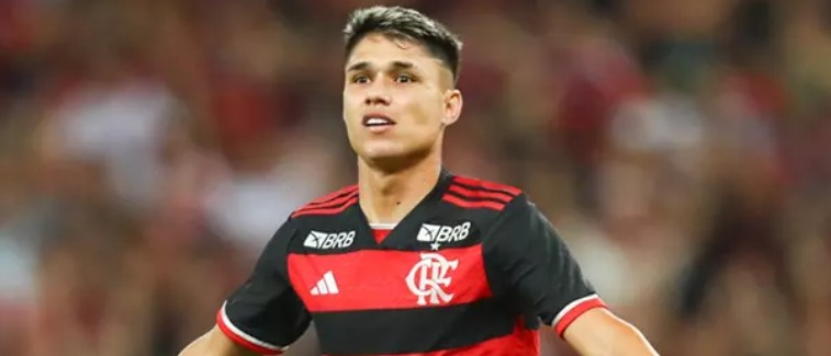 Luiz Araújo, do Flamengo