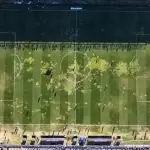 Manchas no gramado de São Januário