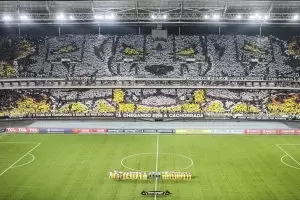 Mosaico da torcida do Botafogo contra a LDU