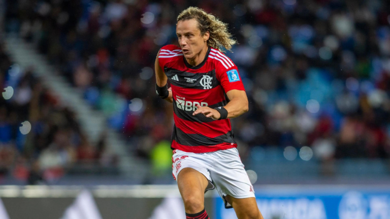 Números de David Luiz pelo Flamengo