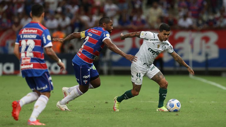 Foto: Divulgação / Cesar Greco / Palmeiras