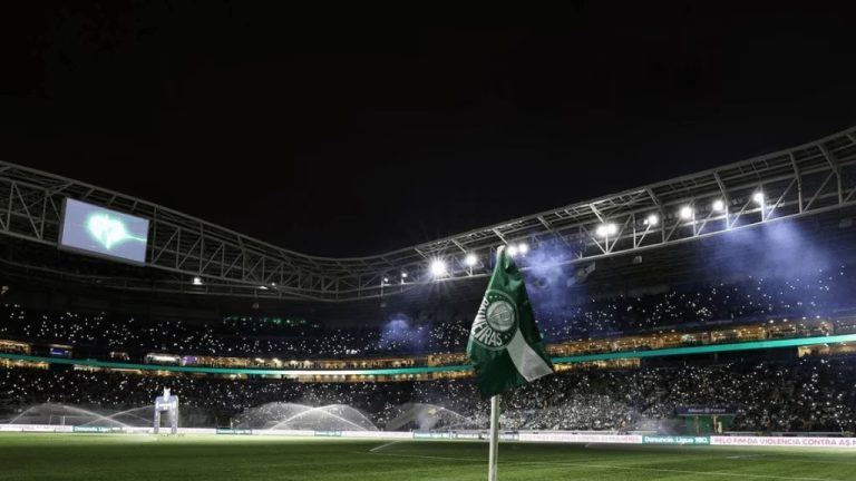 Projeto Esporte Futuro pode se beneficiar com duelo palestrino entre Palmeiras e Cruzeiro