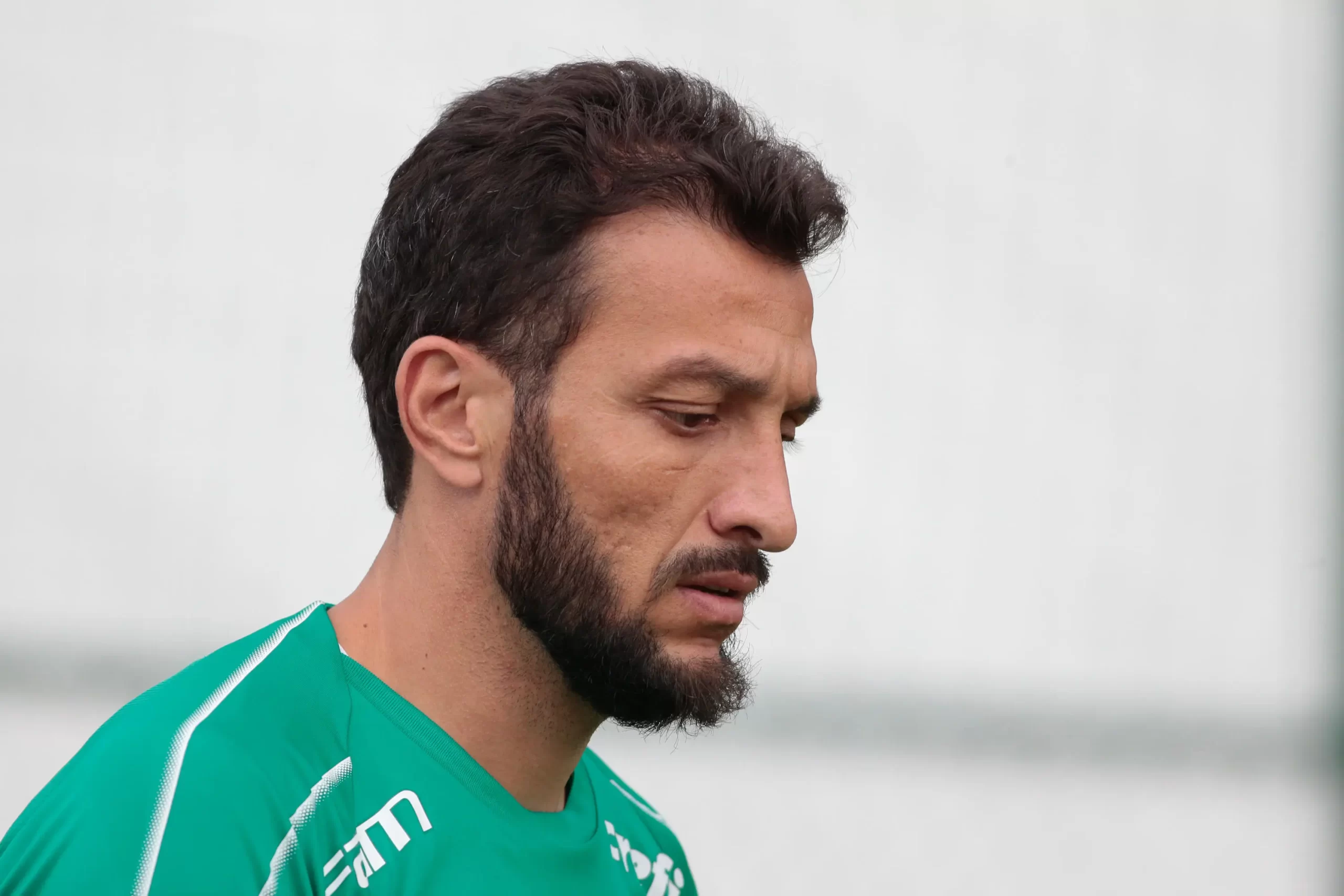 Edu Dracena, ex-Palmeiras. Foto: Marcello Zambrana/AGIF/Alamy Stock Photo