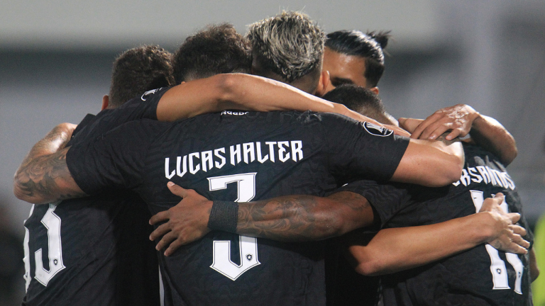 Rivaldo fala sobre a situação do Botafogo na temporada