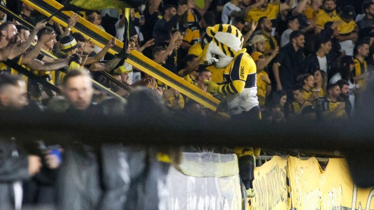 Torcida do Criciúma no Heriberto Hulse, em Santa Catarina. (Foto: Divulgação / AGIF / Alamy Stock Photo)