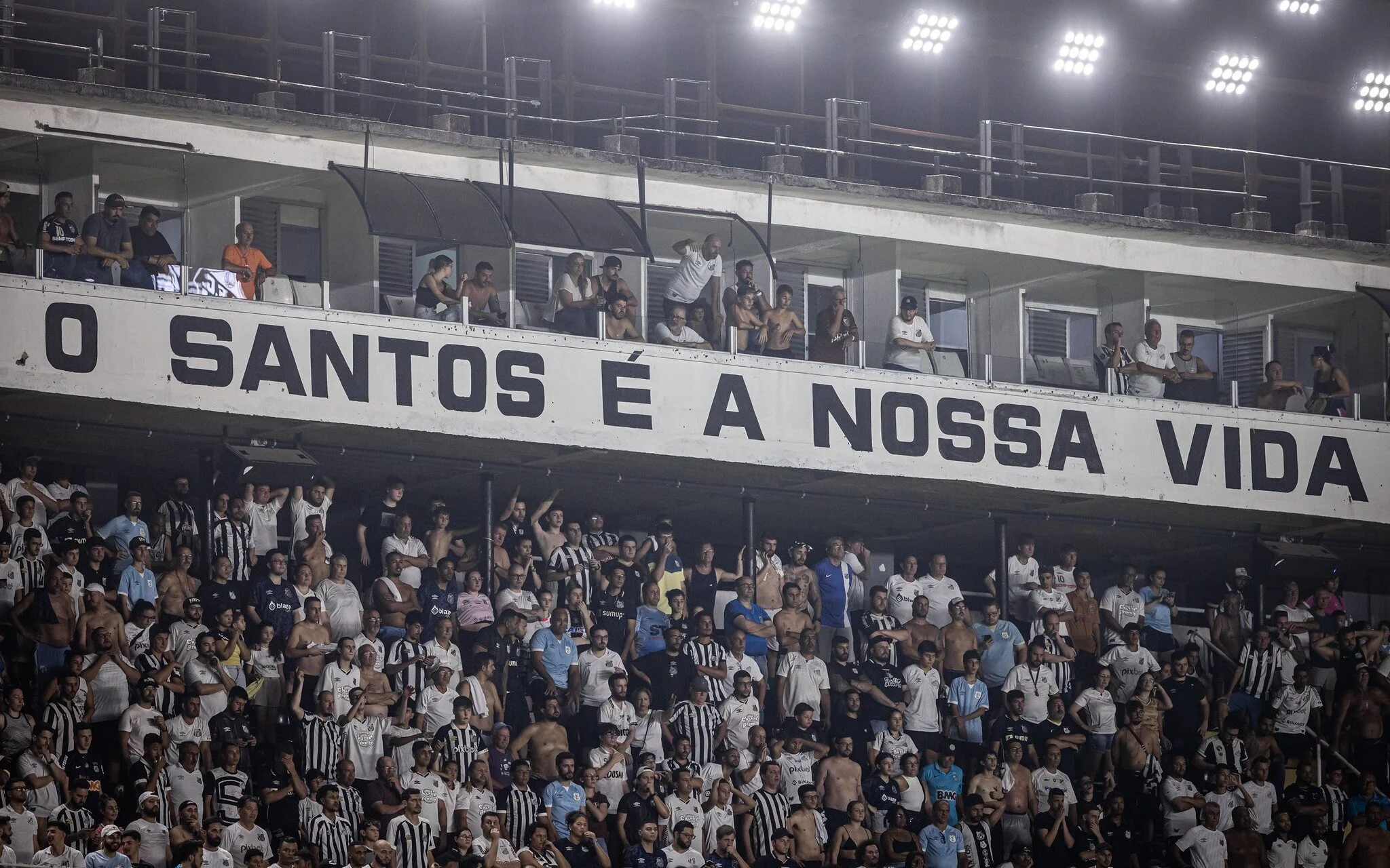 Torcida do Santos (Foto: Raul Baretta / Santos FC)