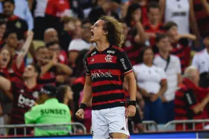 David Luiz, zagueiro do Flamengo