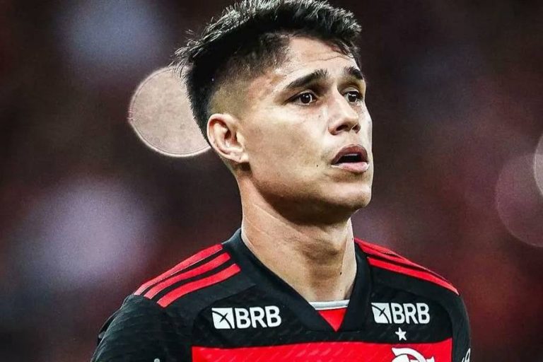 Luiz Araújo, do Flamengo