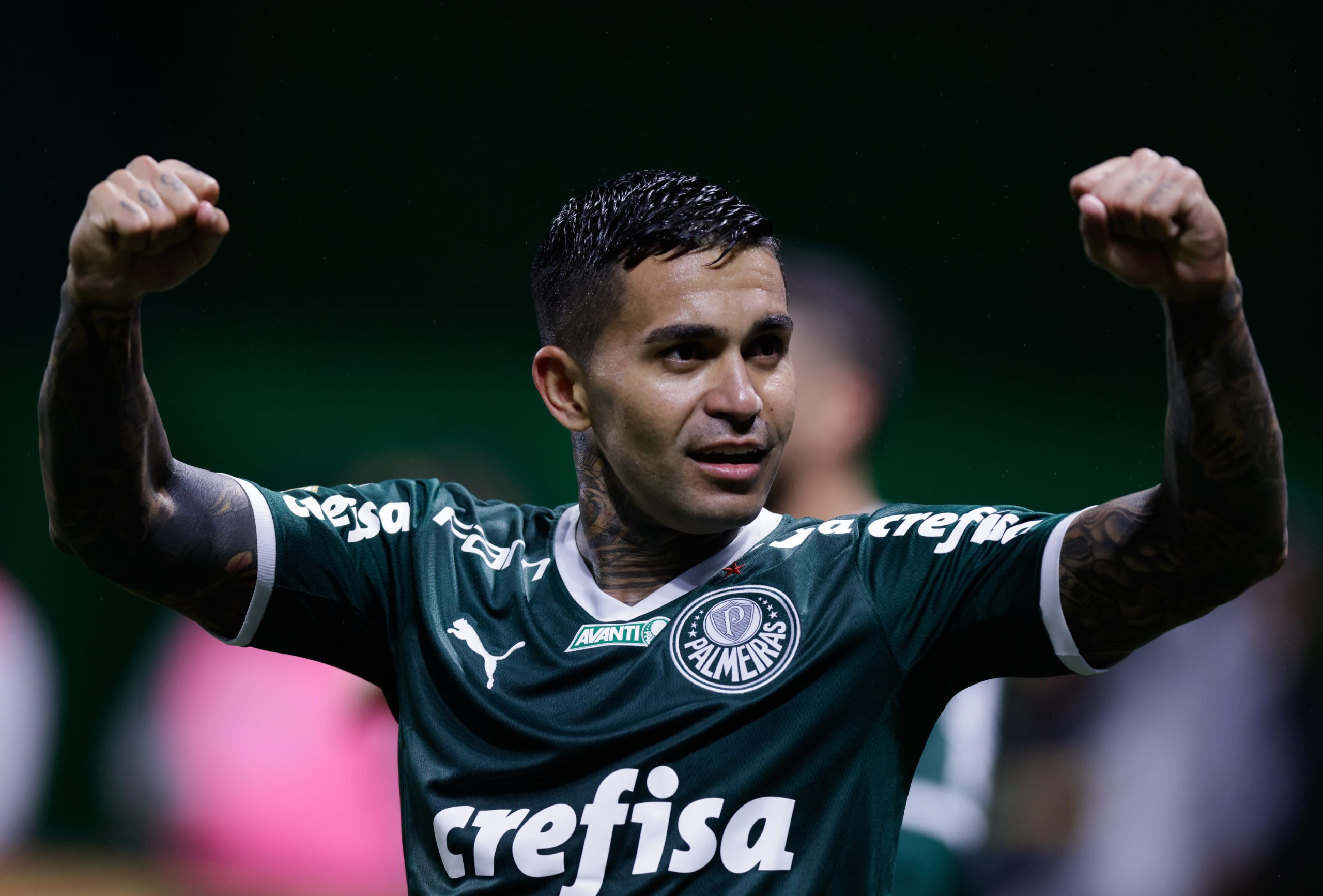 Dudu, ídolo Do Palmeiras, Tem O 6º Maior Salário Das Américas