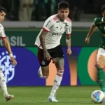 palmeiras x flamengo pelo brasileirão 2024