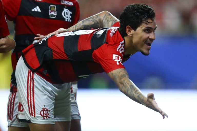 Pedro comemora gol do Flamengo