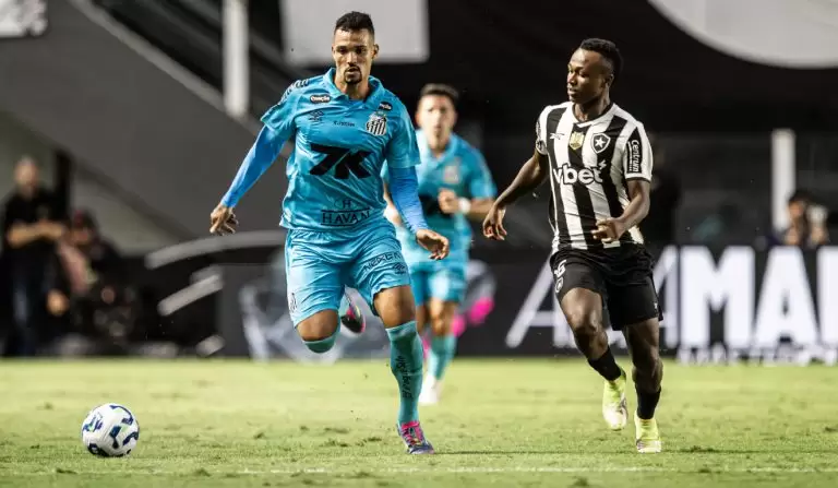 santos x botafogo pelo Brasileirão 2025