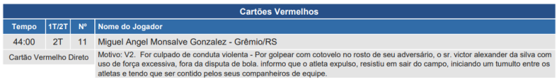 Súmula de Botafogo x Grêmio, pelo Brasileirão 2024