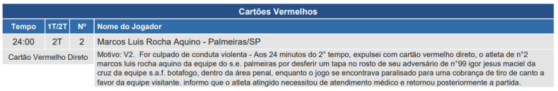 Súmula de Palmeiras x Botafogo pelo Brasileirão 2024