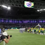 Mosaico da torcida do Palmeiras no Allianz Parque