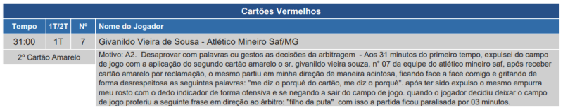 Trecho da súmula de Atlético-MG x Palmeiras, pelo Brasileirão 2024